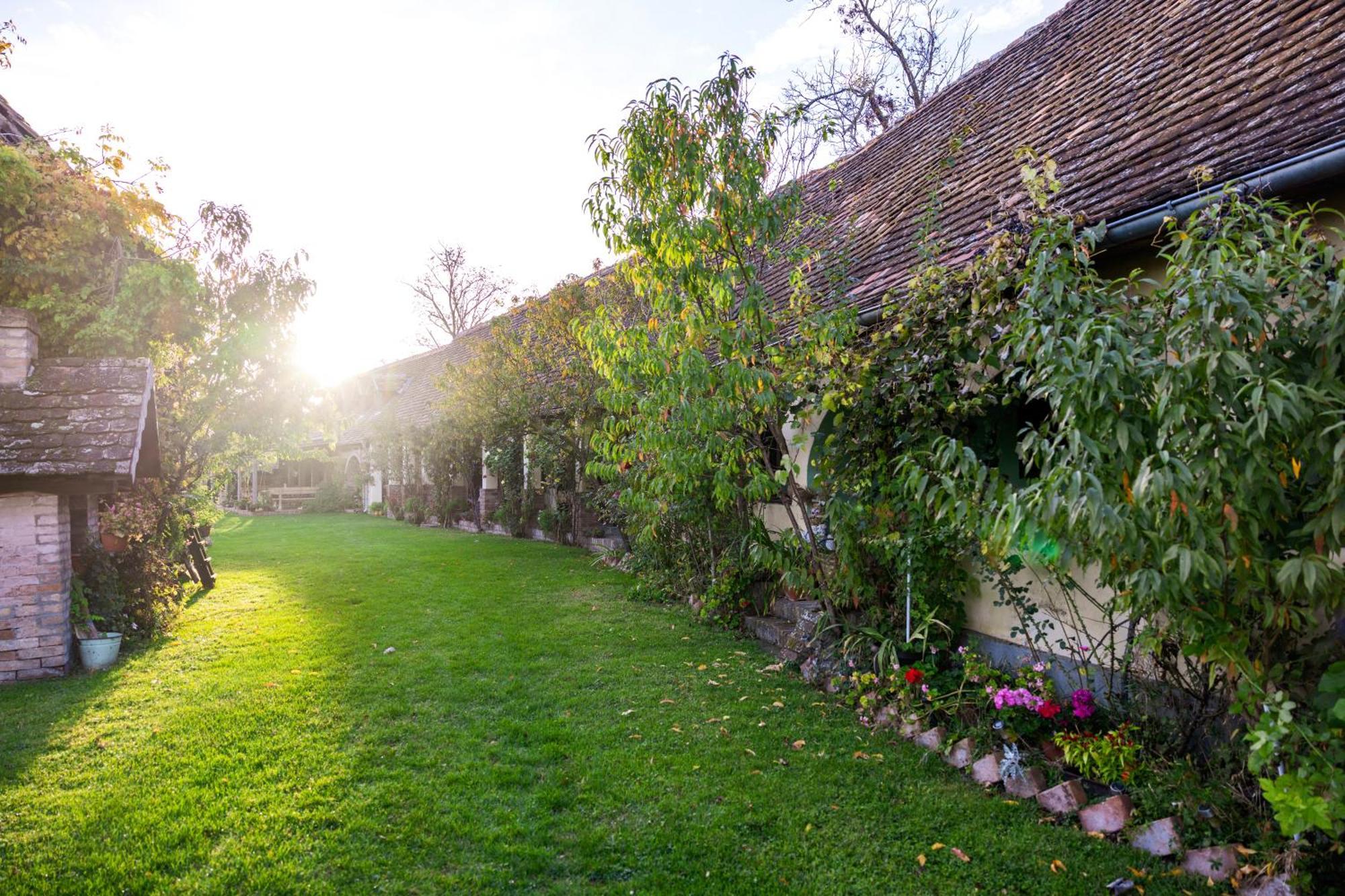 Bed and Breakfast Snasini Kucari Gradiste Екстер'єр фото