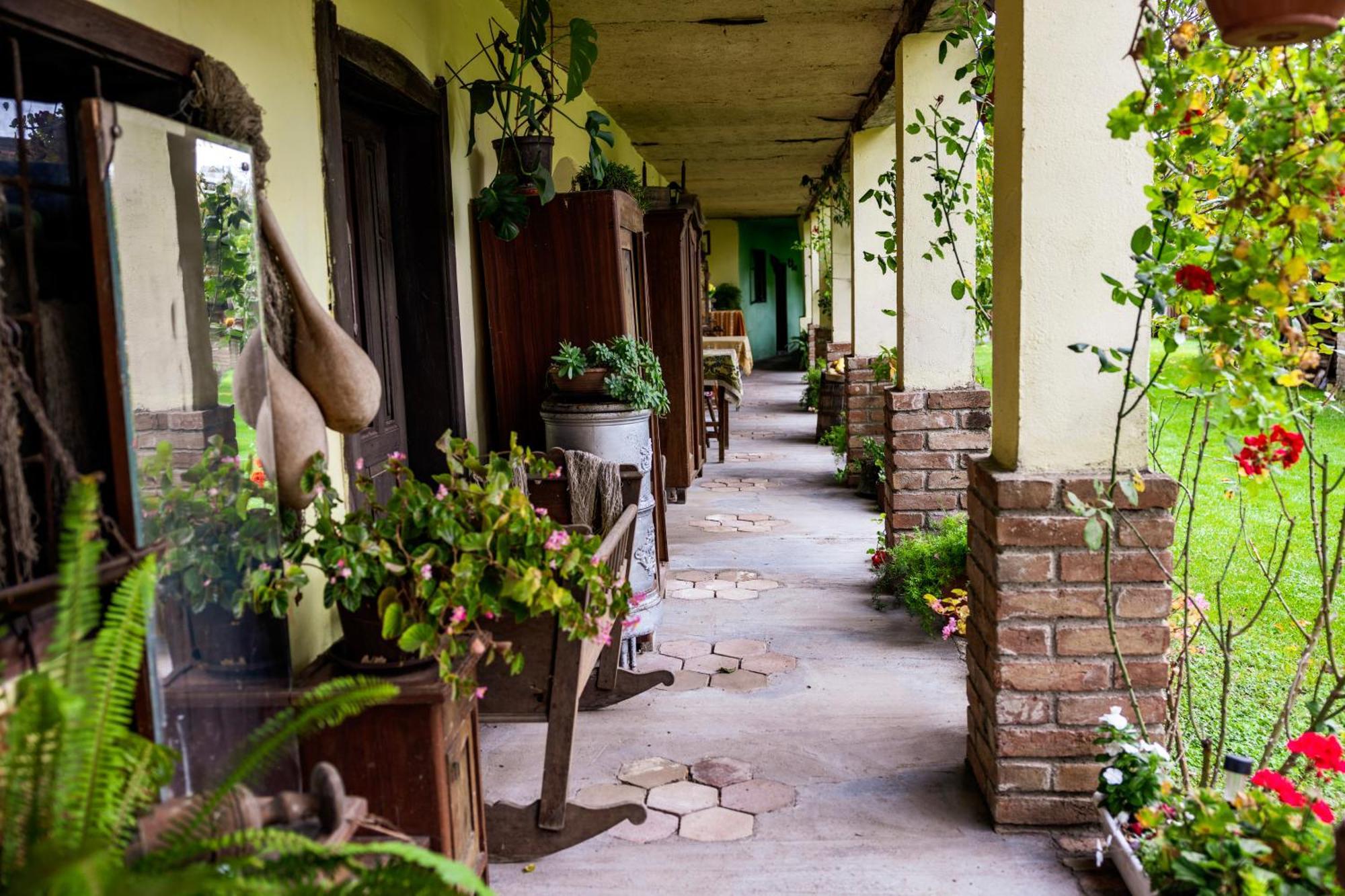 Bed and Breakfast Snasini Kucari Gradiste Екстер'єр фото